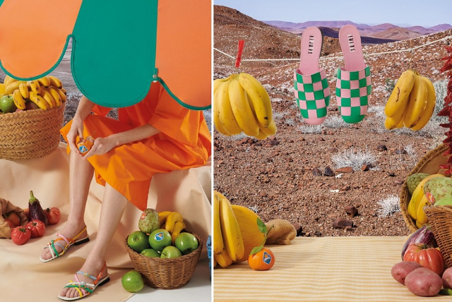 PICNIC MOOD IS ON